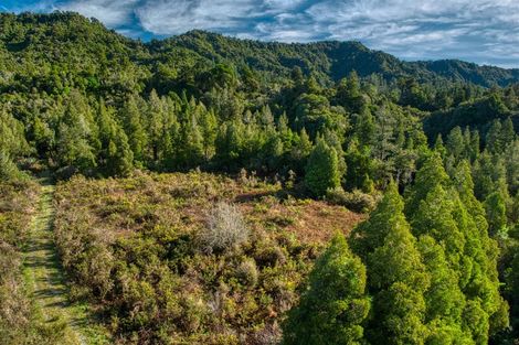 Photo of property in 260 Omoto Valley Road, Kaiata, Greymouth, 7805