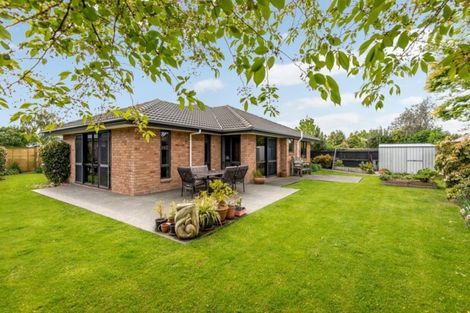 Photo of property in 37 Chapman Street, Leeston, 7632