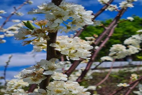 Photo of property in 18 Glengarry Avenue, Manly, Whangaparaoa, 0930