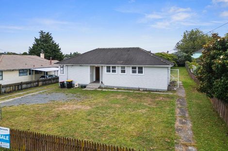 Photo of property in 4 Clothier Street, Putaruru, 3411