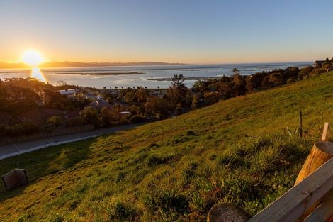 Photo of property in 3 Chamerion Way, Atawhai, 7010