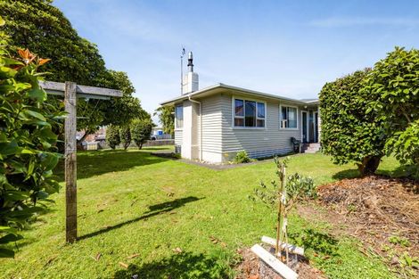 Photo of property in 36 Fenton Street, Stratford, 4332