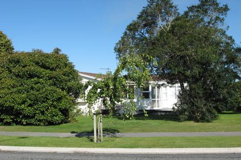 Photo of property in 48 Selwyn Street, Leeston, 7632