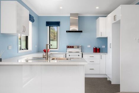 Photo of property in 51 Harrier Street, Parkvale, Tauranga, 3112