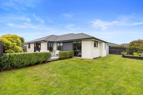Photo of property in 17 Waterside Drive, Pyes Pa, Tauranga, 3112