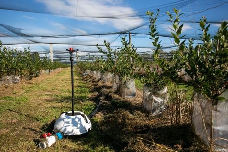 Photo of property in 1/3200 Cambridge Road, Rotoorangi, Cambridge, 3495