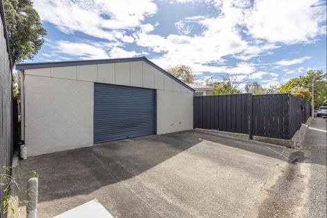 Photo of property in 282 Tremaine Avenue, Takaro, Palmerston North, 4412