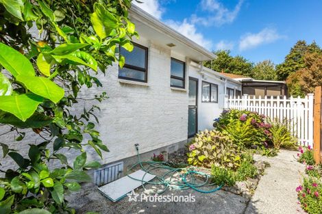 Photo of property in 1/72 Mcparland Street, Elderslea, Upper Hutt, 5018
