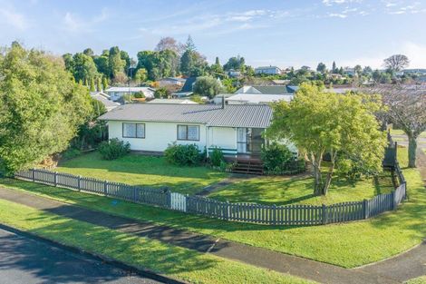 Photo of property in 78 Sinclair Terrace, Te Awamutu, 3800