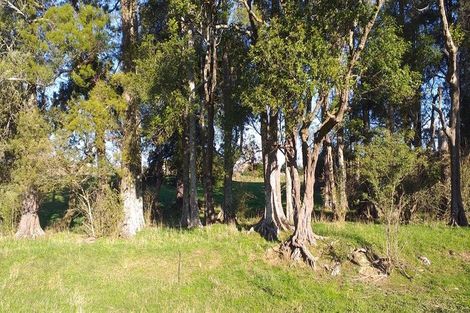 Photo of property in 1/69 Mckenzie Road, Mangere Bridge, Auckland, 2022