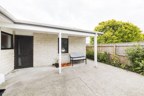 Photo of property in 103 Salisbury Street, Ashhurst, 4810