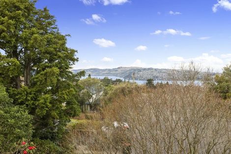 Photo of property in 11a Bellevue Street, Belleknowes, Dunedin, 9011