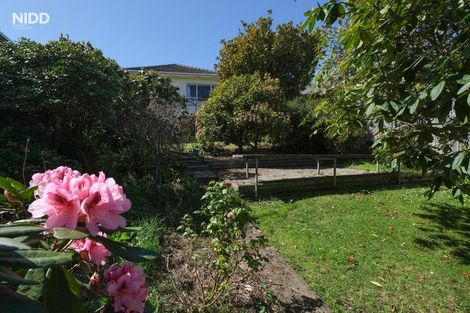 Photo of property in 116 Elgin Road, Kenmure, Dunedin, 9011