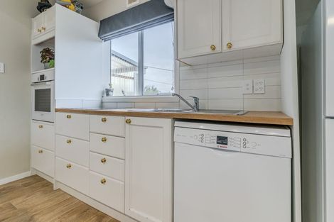 Photo of property in 237 Union Street, Milton, 9220