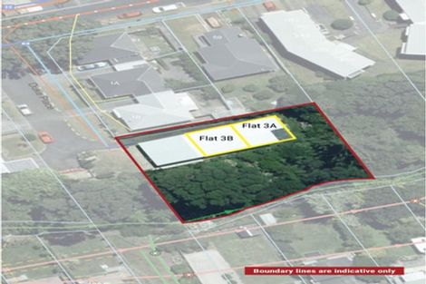 Photo of property in 3b Duke Place, New Plymouth, 4310