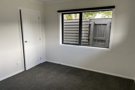 Photo of property in 77a Guy Avenue, Takaro, Palmerston North, 4410