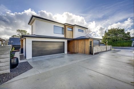 Photo of property in 24a Duart Road, Havelock North, 4130