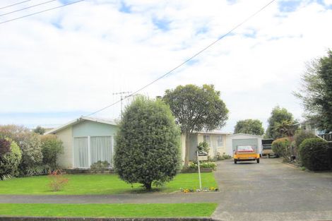 Photo of property in 3 John Street, Levin, 5510