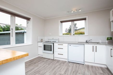 Photo of property in 10 Vivian Street, Solway, Masterton, 5810