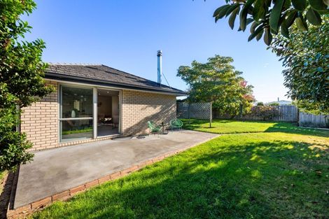 Photo of property in 17b Holdaway Street, Riversdale, Blenheim, 7201