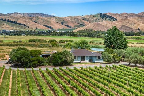 Photo of property in 686 Dillons Point Road, Dillons Point, Blenheim, 7273