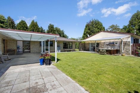 Photo of property in 41 Walmsley Road, Waihi, 3610