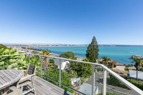 Photo of property in 27 Seapoint Road, Bluff Hill, Napier, 4110