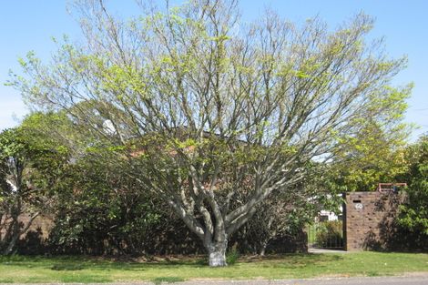 Photo of property in 60 Sophia Street, Glenholme, Rotorua, 3010