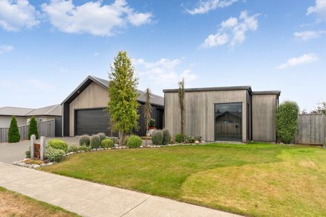 Photo of property in 54 Gimson Street, Solway, Masterton, 5810
