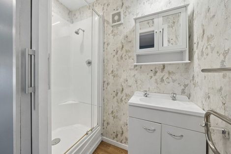 Photo of property in 105 Hornsey Road, Melrose, Wellington, 6023