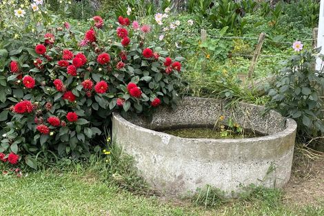 Photo of property in 141 Kellys Bay Road, Pouto, Te Kopuru, 0391