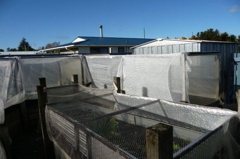 Photo of property in 31 Kennedy Drive, Putaruru, 3411