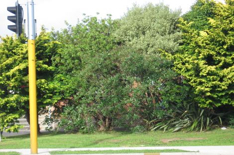 Photo of property in 89 Lincoln Road, Henderson, Auckland, 0610