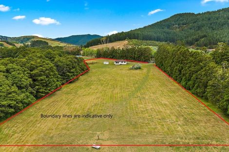 Photo of property in 813 Whangaripo Valley Road, Whangaripo, Wellsford, 0972