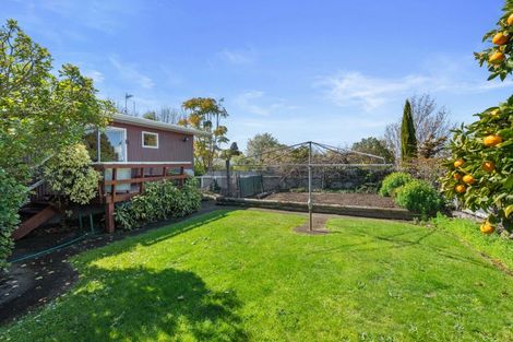 Photo of property in 16 Queen Alexandra Street, Lansdowne, Masterton, 5810