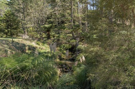 Photo of property in 403 Purangi Road, Purangi, Whitianga, 3591