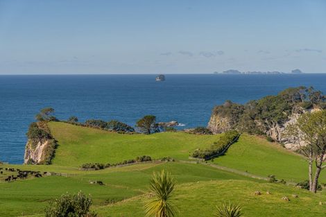 Photo of property in 97 Orchard Road, Hahei, Whitianga, 3591
