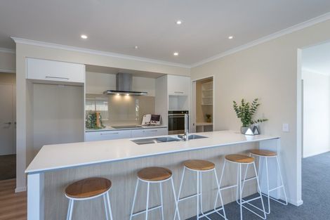 Photo of property in 65 Berryfield Drive, Richmond, 7020