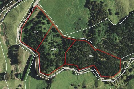 Photo of property in 1028b Mcivor Road, Rotoma, Whakatane, 3194