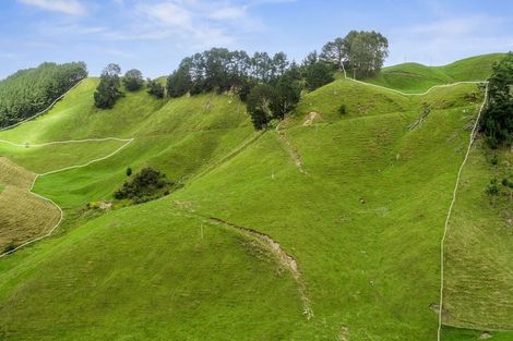 Photo of property in 1765 Tutukau Road, Ohakuri, Reporoa, 3083