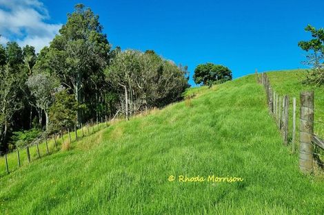 Photo of property in 47 Andrae Lane, Maungaturoto, 0587