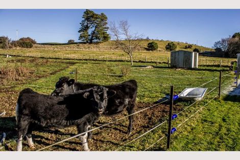 Photo of property in 37a Marino Street, Rangataua, Ohakune, 4691