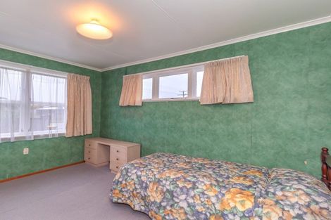 Photo of property in 43 Tiro Tiro Road, Levin, 5510