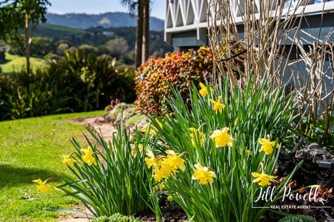 Photo of property in 10 View Street, Maungaturoto, 0520