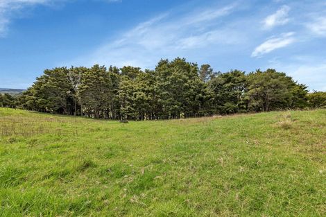 Photo of property in 265 Sloane Road, Mata, Whangarei, 0171