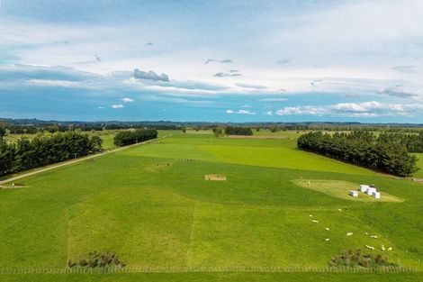 Photo of property in 162 Taylor Road, Ongaonga, 4278