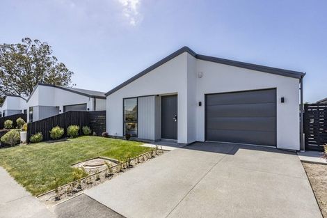 Photo of property in 6 Horoeka Street, Avonhead, Christchurch, 8042