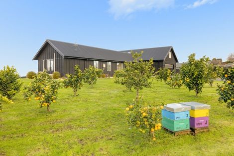 Photo of property in 423b Youngson Road, Whakamarama, Tauranga, 3179