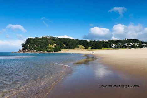 Photo of property in 203 Onemana Drive, Onemana, Whangamata, 3691