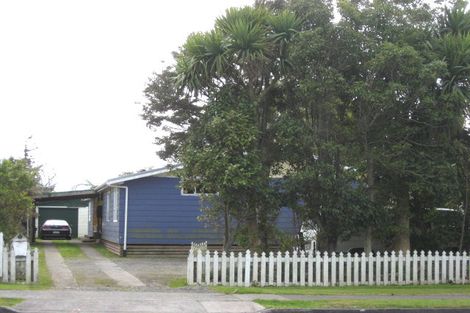 Photo of property in 42 Fenton Street, Stratford, 4332